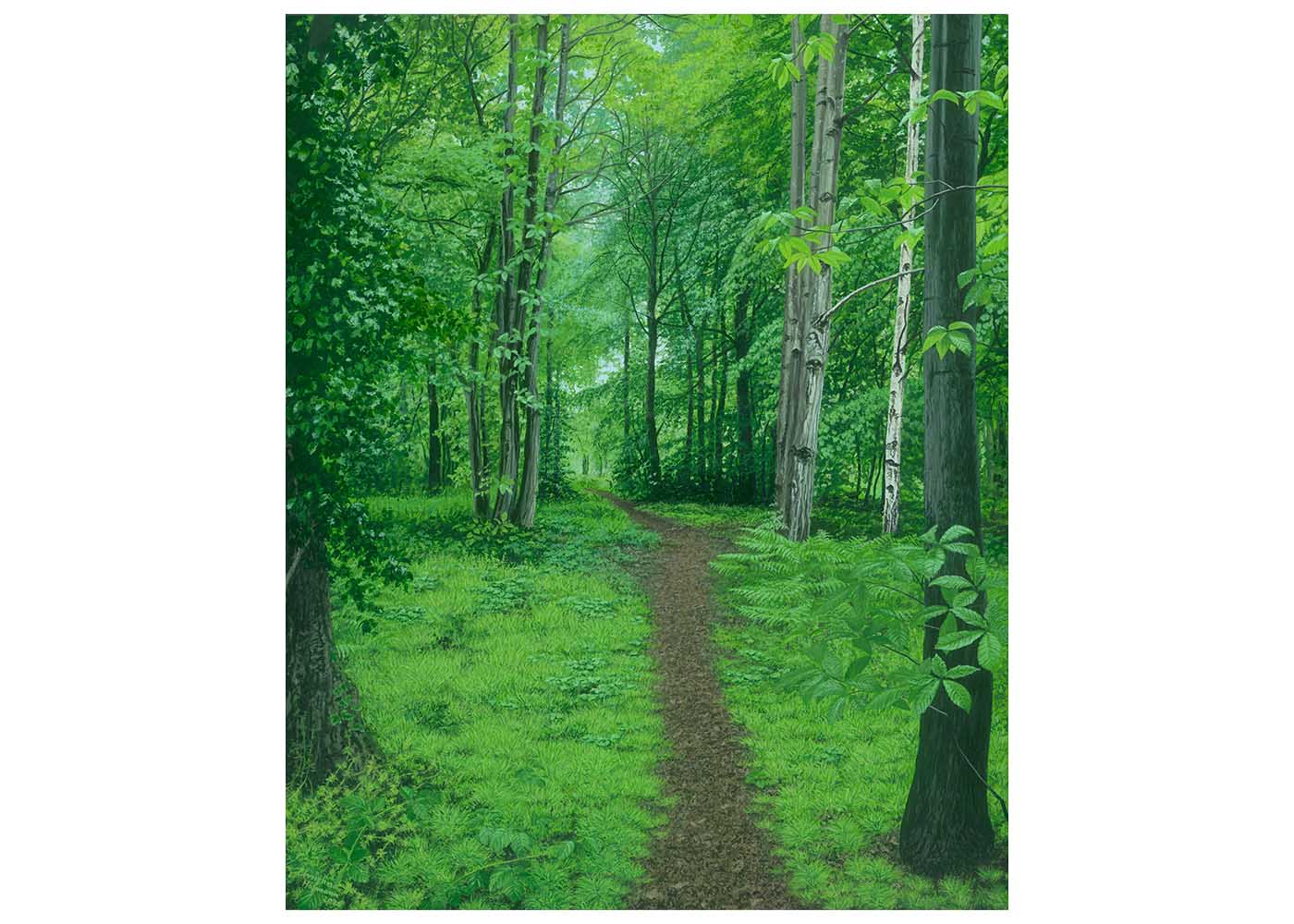 After the Summer Rain