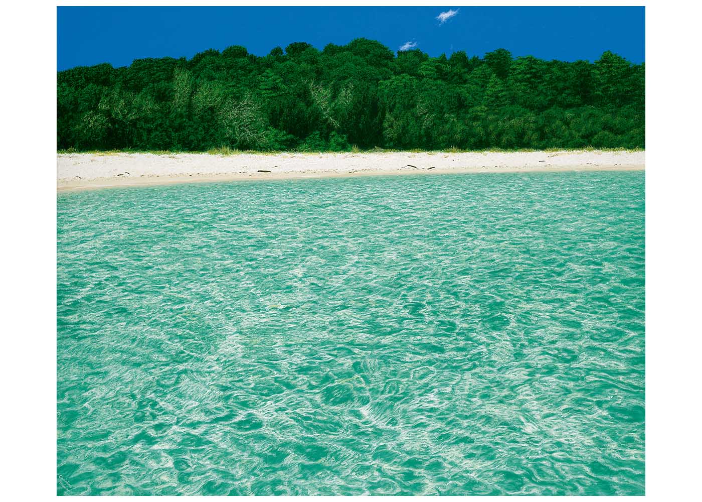 Air Born Print Christine Woods Wild Wood Art