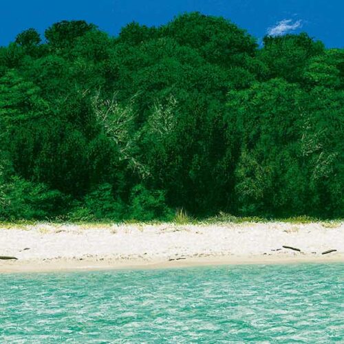 Coastal Views Collection