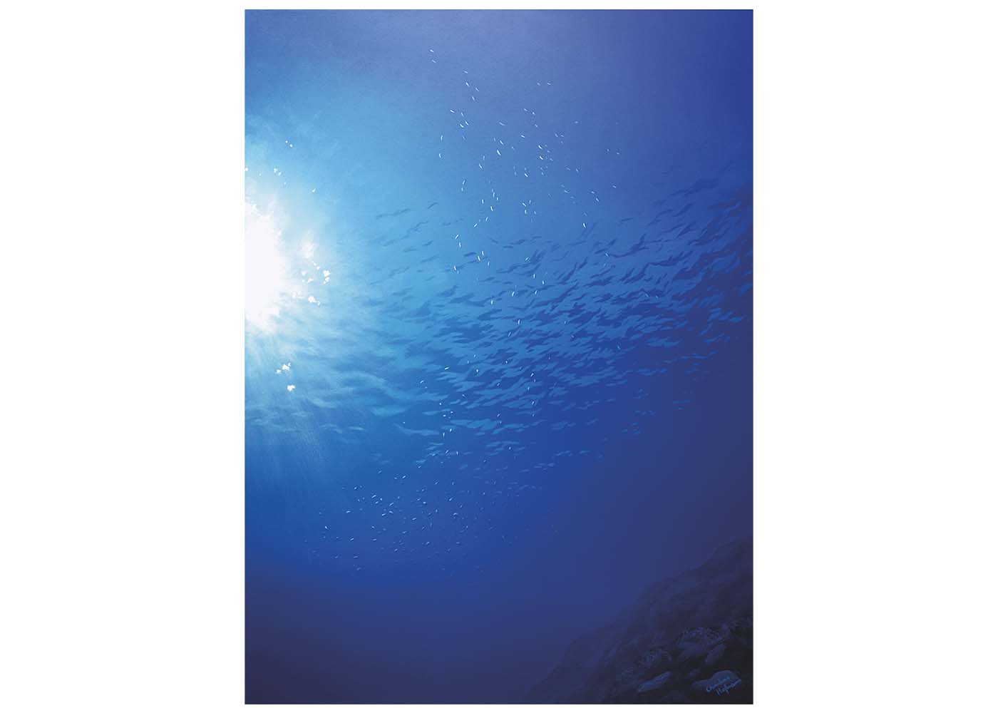 Jewels of the deep sea