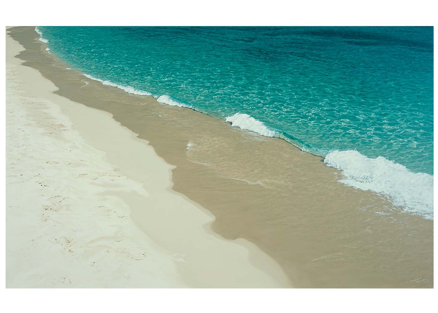 Mesmerized Christine Woods Wild Wood Art Print