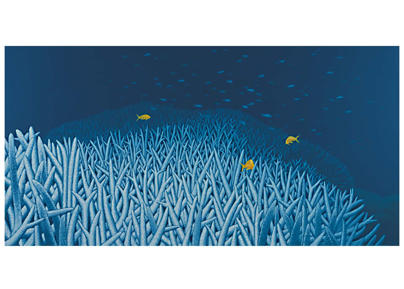 Silent Encounter Christine Woods Wild Wood Art Print