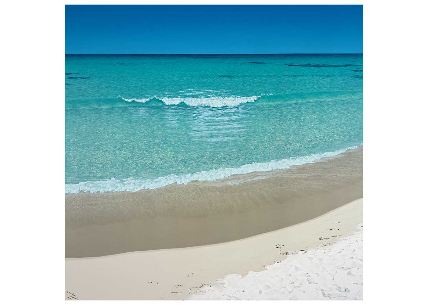 Synchronised Christine Woods Wild Wood Art Print