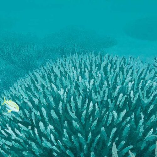 Underwater Magic Collection