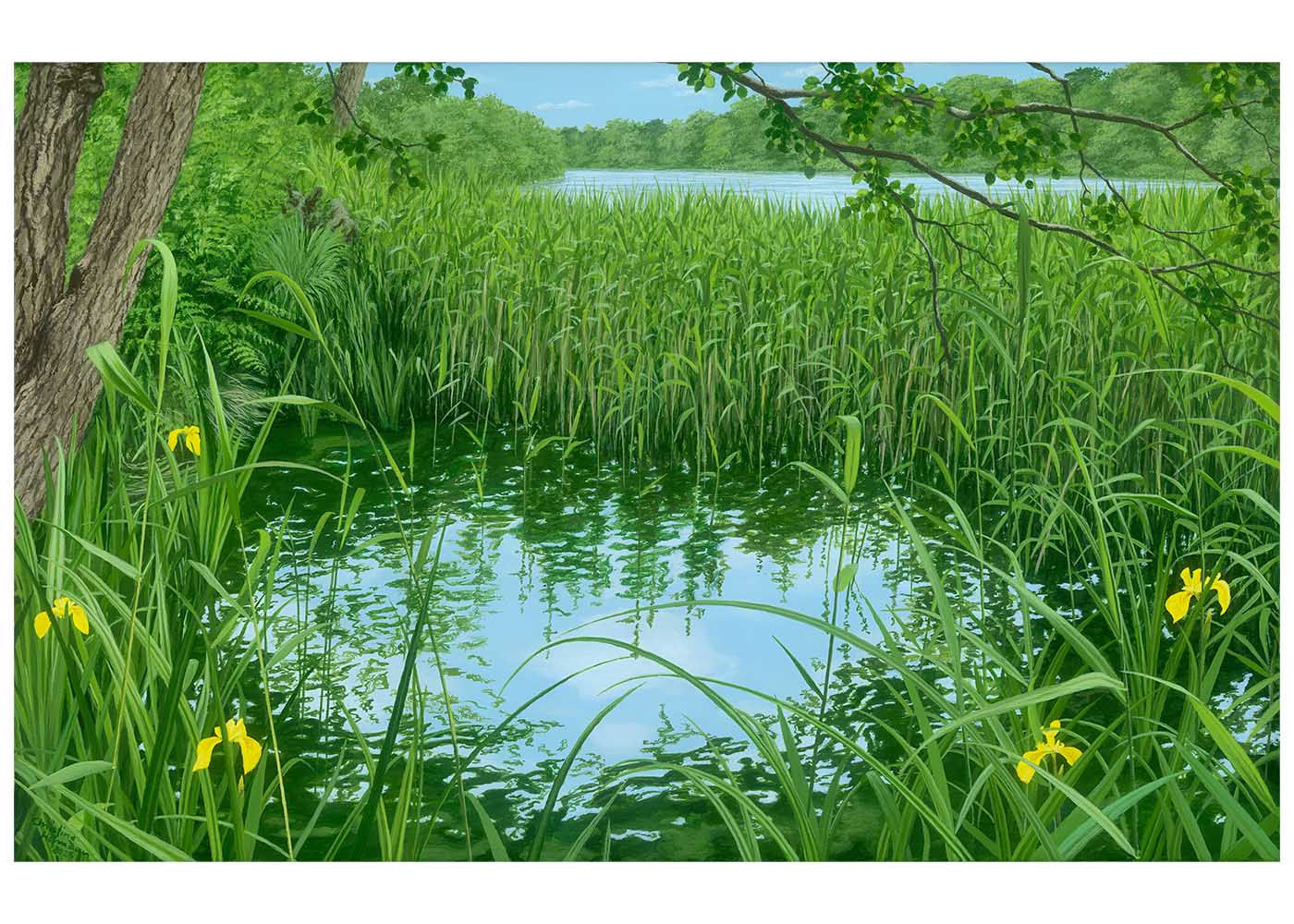 Wild Garden at the Edge of the Water Christine Woods Wild Wood Art Print