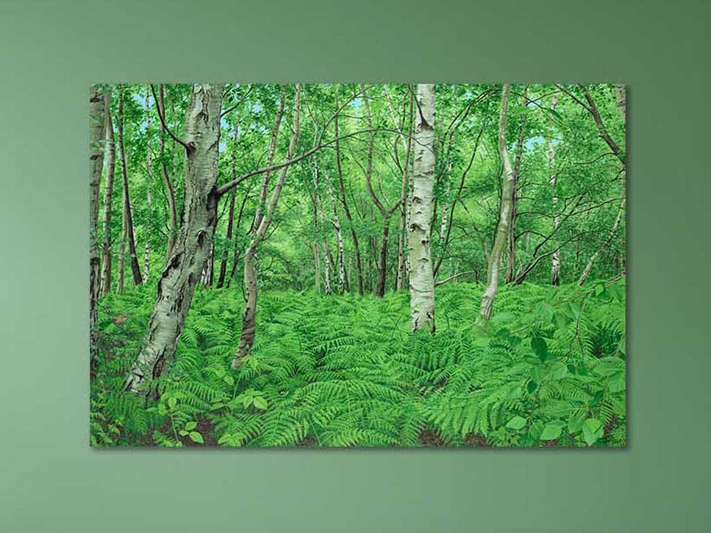 Woodlands Artspace Woodbridge